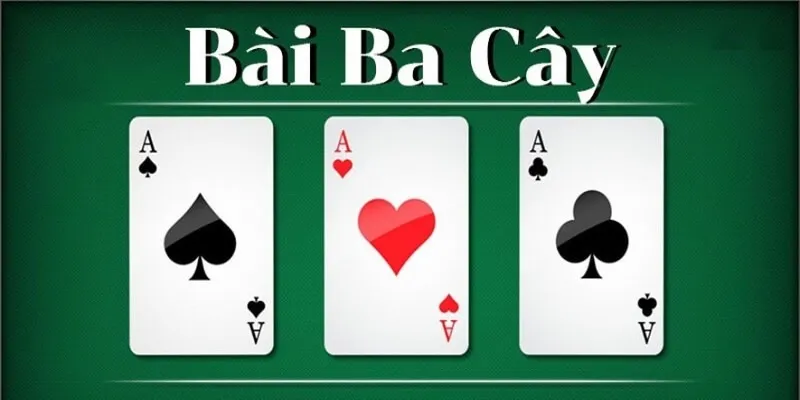 Bài 3 cây là gì?